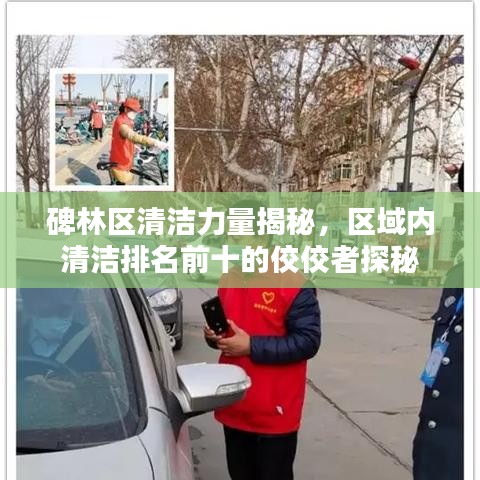碑林区清洁力量揭秘，区域内清洁排名前十的佼佼者探秘