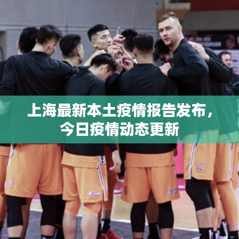 上海最新本土疫情报告发布，今日疫情动态更新