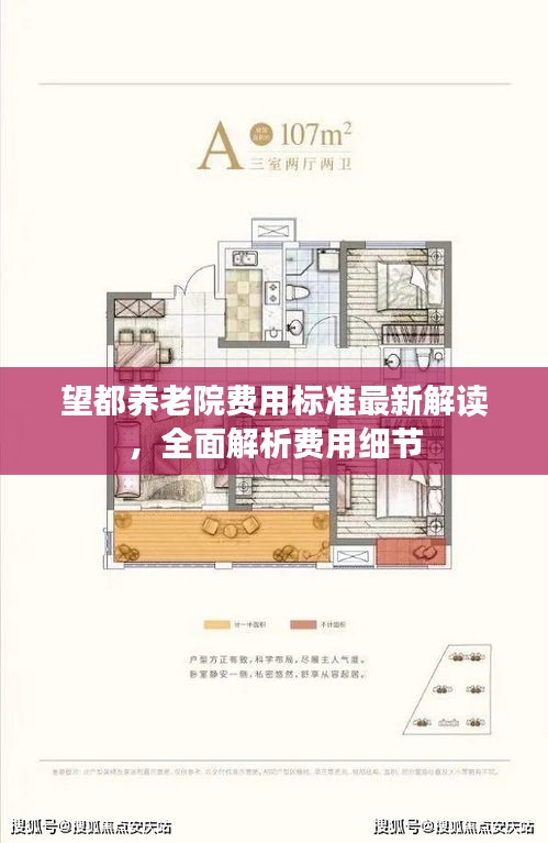 望都养老院费用标准最新解读，全面解析费用细节