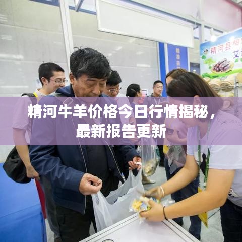 精河牛羊价格今日行情揭秘，最新报告更新