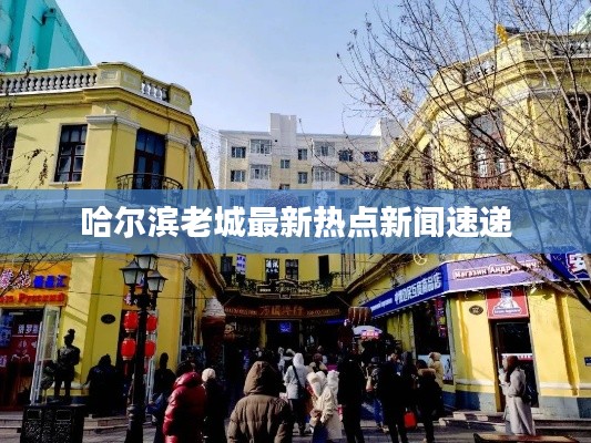 关于我们 第13页