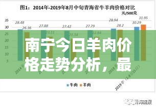 南宁今日羊肉价格走势分析，最新行情揭秘