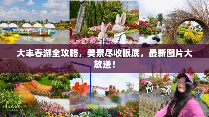 大丰春游全攻略，美景尽收眼底，最新图片大放送！