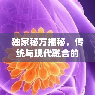 资料大全 第14页