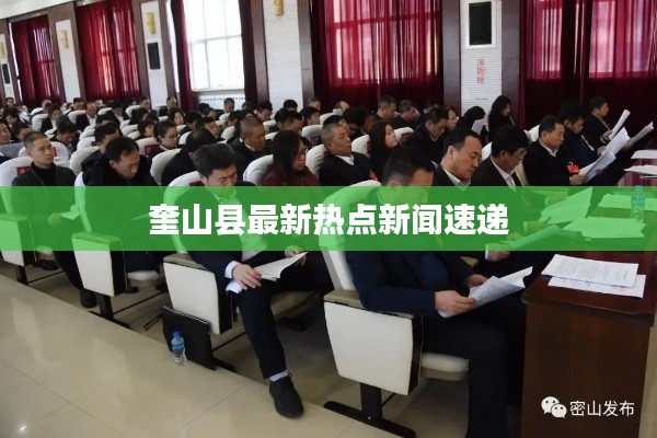 奎山县最新热点新闻速递