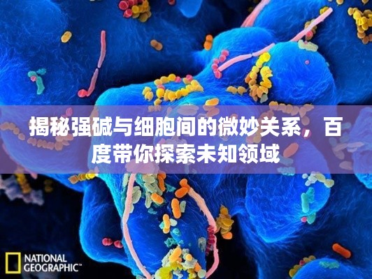 揭秘强碱与细胞间的微妙关系，百度带你探索未知领域