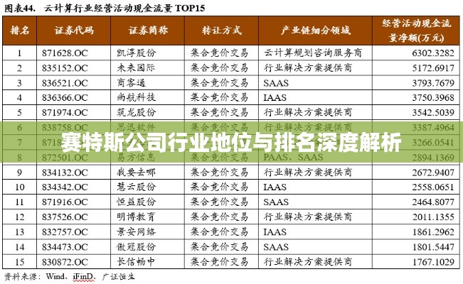 赛特斯公司行业地位与排名深度解析