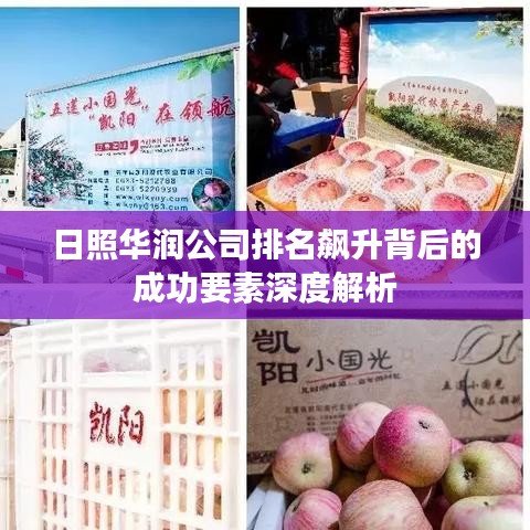 日照华润公司排名飙升背后的成功要素深度解析