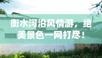 衡水河沿风情游，绝美景色一网打尽！