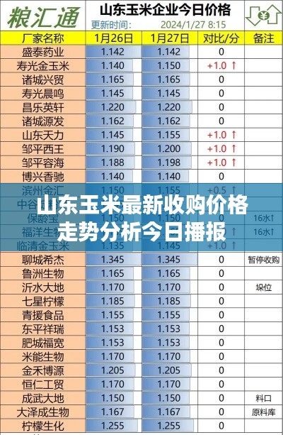 山东玉米最新收购价格走势分析今日播报
