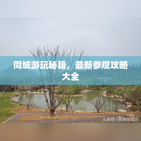 同城游玩秘籍，最新参观攻略大全