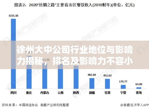 徐州大中公司行业地位与影响力揭秘，排名及影响力不容小觑
