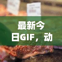 最新今日GIF，动态图像引领风尚新潮流