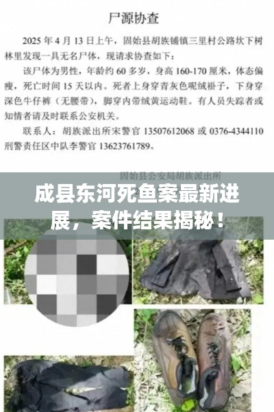关于我们 第8页