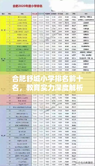 合肥舒城小学排名前十名，教育实力深度解析！