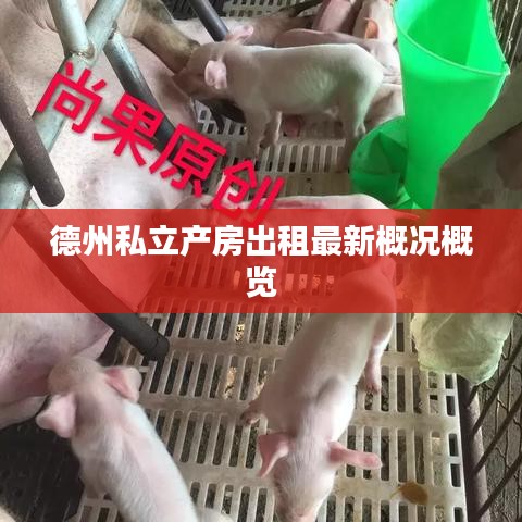 德州私立产房出租最新概况概览
