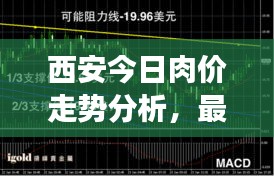 西安今日肉价走势分析，最新行情解读