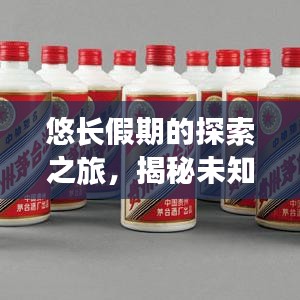 悠长假期的探索之旅，揭秘未知世界的精彩攻略