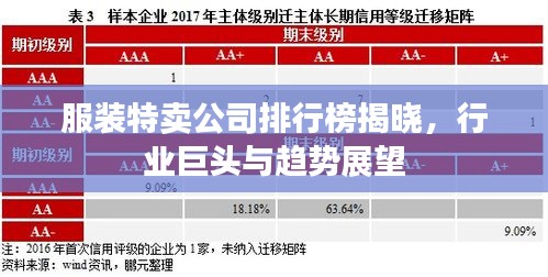 服装特卖公司排行榜揭晓，行业巨头与趋势展望