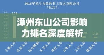 漳州东山公司影响力排名深度解析