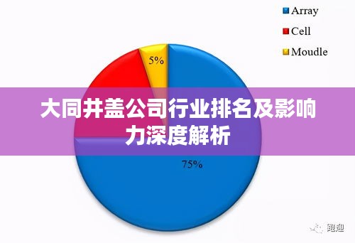 大同井盖公司行业排名及影响力深度解析
