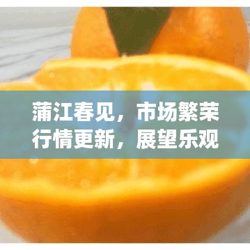 蒲江春见，市场繁荣行情更新，展望乐观前景