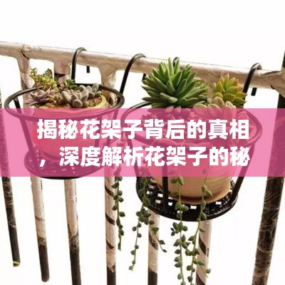 揭秘花架子背后的真相，深度解析花架子的秘密，百度带你探索真相。