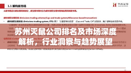 苏州灭鼠公司排名及市场深度解析，行业洞察与趋势展望
