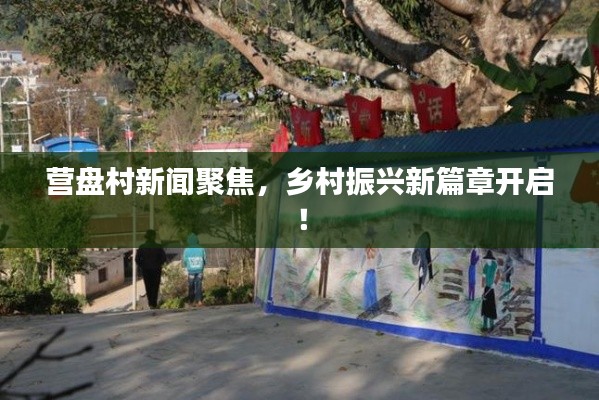 营盘村新闻聚焦，乡村振兴新篇章开启！