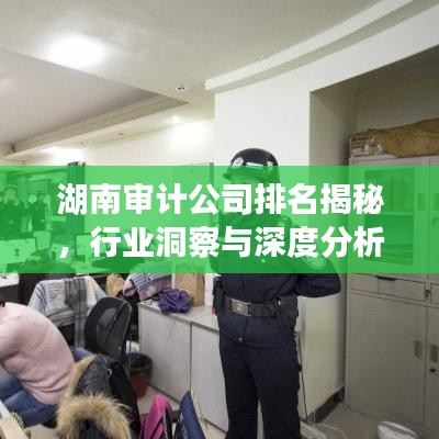 湖南审计公司排名揭秘，行业洞察与深度分析