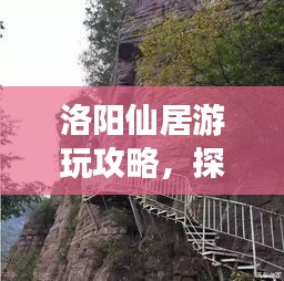 洛阳仙居游玩攻略，探秘仙境，尽享神秘之旅！