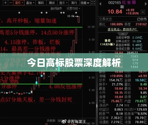 今日高标股票深度解析