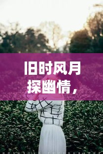 旧时风月探幽情，百度深思寻过往