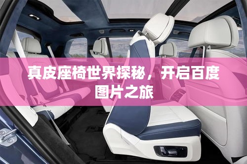 真皮座椅世界探秘，开启百度图片之旅