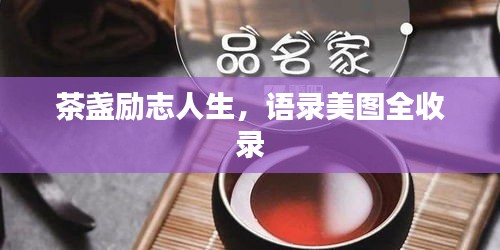 案例见证 第6页