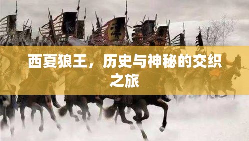 网店开店宝APP 第6页