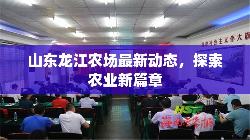山东龙江农场最新动态，探索农业新篇章