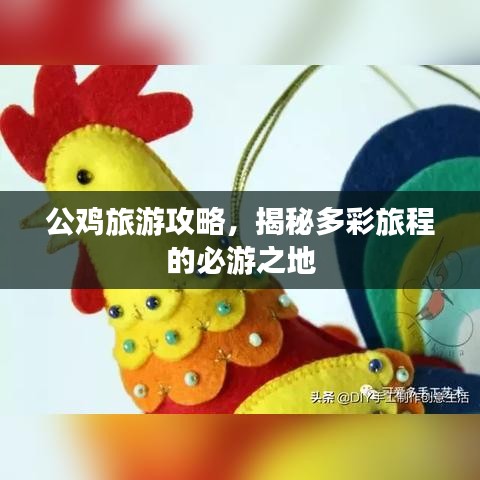 公鸡旅游攻略，揭秘多彩旅程的必游之地