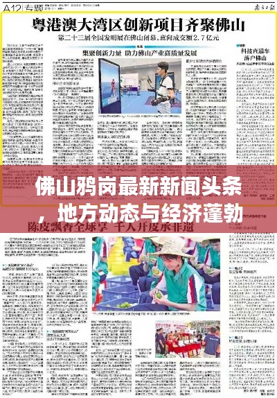 佛山鸦岗最新新闻头条，地方动态与经济蓬勃发展