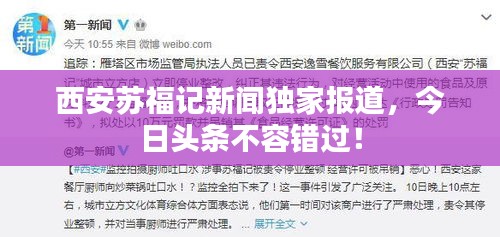 西安苏福记新闻独家报道，今日头条不容错过！
