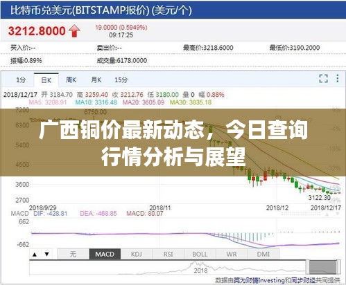 网店开店宝APP 第5页