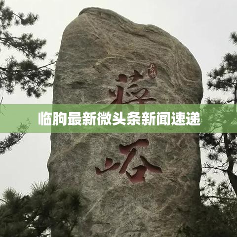 临朐最新微头条新闻速递
