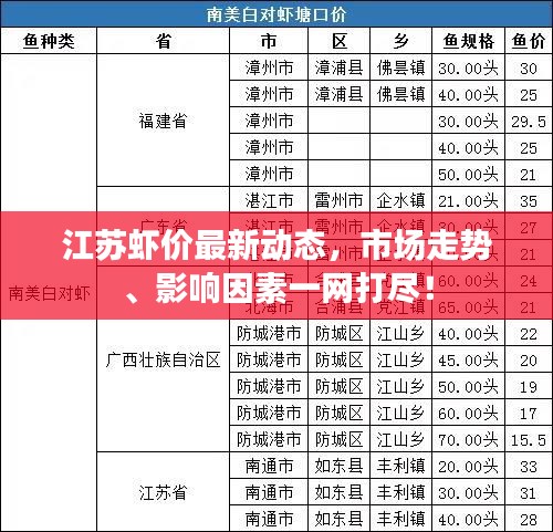 江苏虾价最新动态，市场走势、影响因素一网打尽！