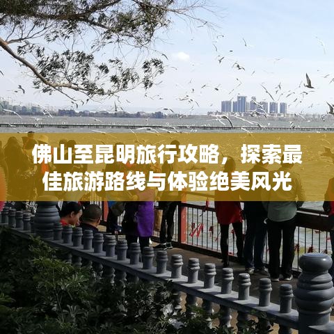 佛山至昆明旅行攻略，探索最佳旅游路线与体验绝美风光