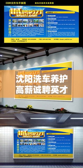 沈阳洗车养护高薪诚聘英才，最新招聘信息全解析