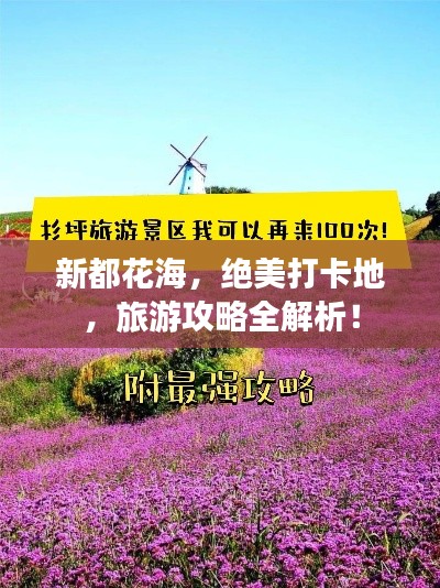 新都花海，绝美打卡地，旅游攻略全解析！