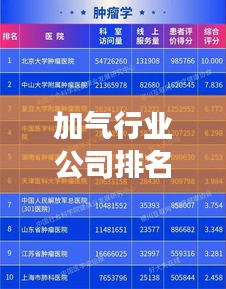 加气行业公司排名揭晓，市场影响力深度解析