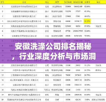 安徽洗涤公司排名揭秘，行业深度分析与市场洞察
