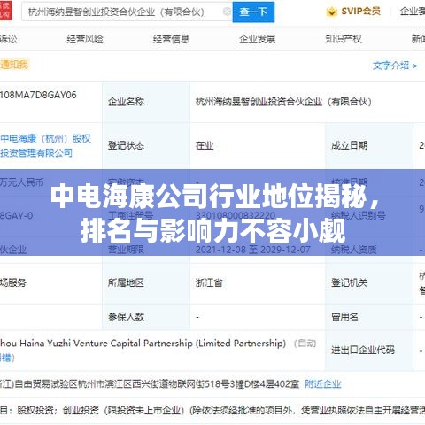中电海康公司行业地位揭秘，排名与影响力不容小觑