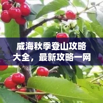 威海秋季登山攻略大全，最新攻略一网打尽！